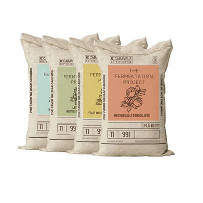 The Fermentation Project