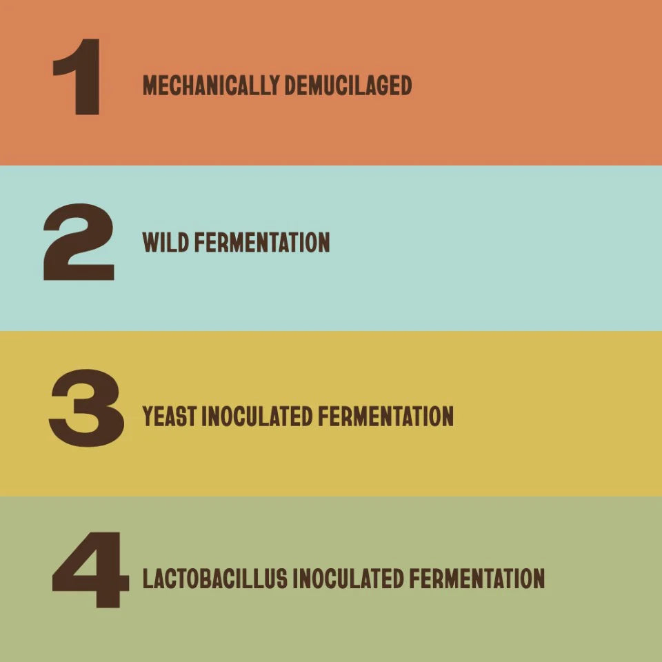 The Fermentation Project