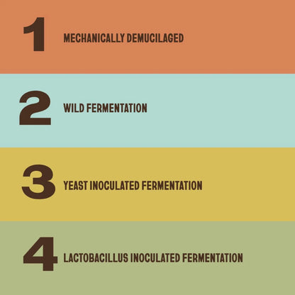 The Fermentation Project