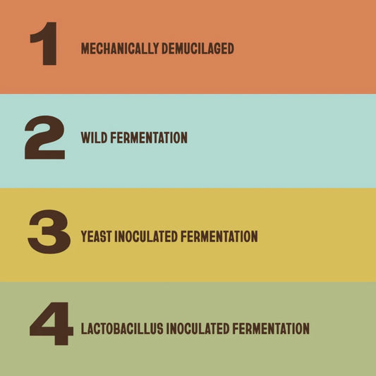 The Fermentation Project
