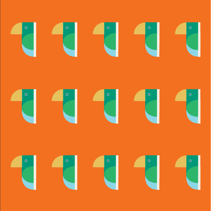 Kolleksjon Don Eli #1